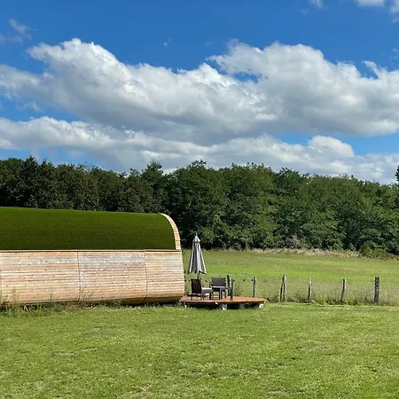 Insolite : La Ruche Verte *