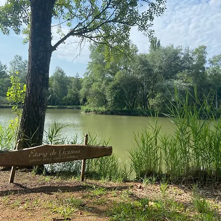 Appartement Insolite : La Ruche Verte