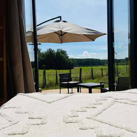 Insolite : La Ruche Verte