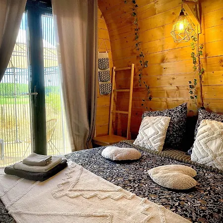 Insolite : La Ruche Verte *