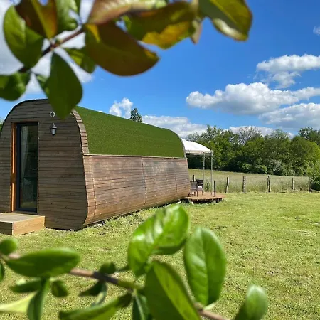 Appartement Insolite : La Ruche Verte