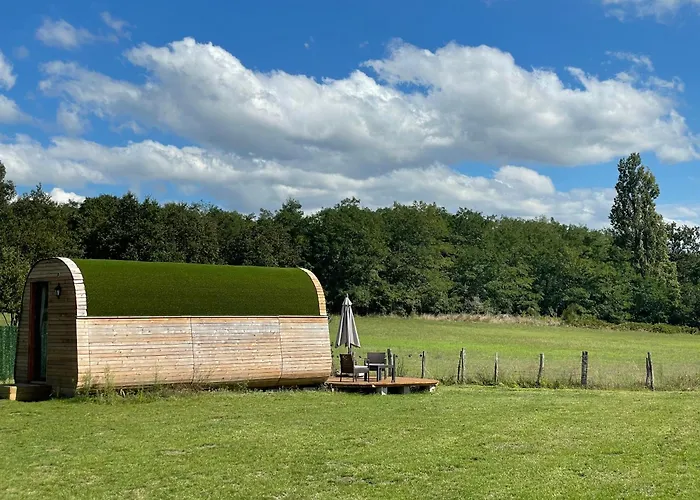 Insolite : La Ruche Verte *