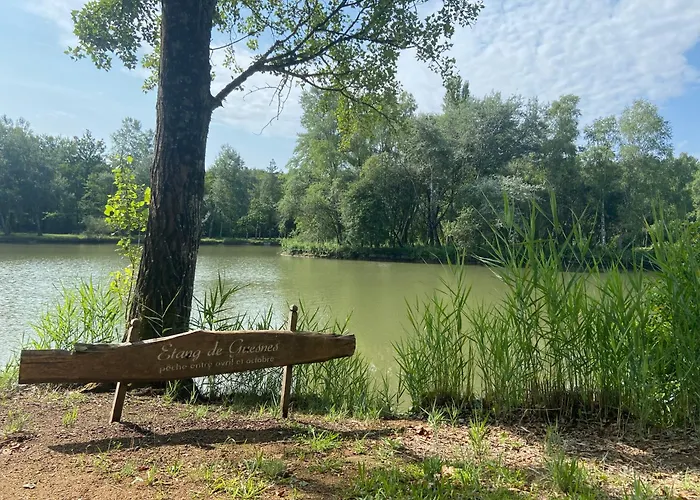 Apartment Insolite : La Ruche Verte