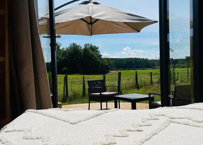 Insolite : La Ruche Verte