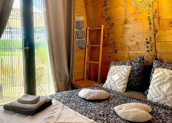 Insolite : La Ruche Verte *